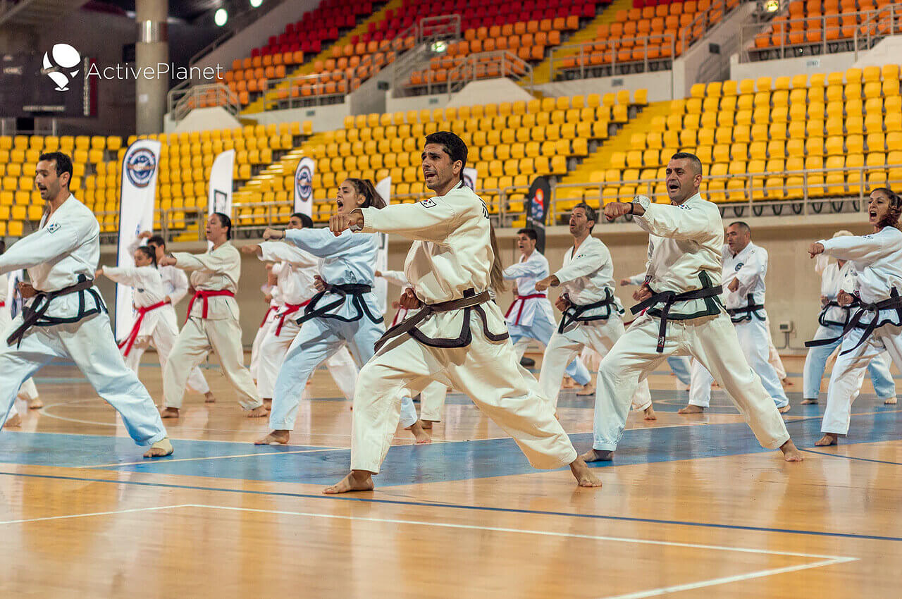 Taekwondo gatherings in Cyprus